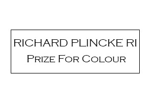 Richard Plincke RI Prize For Colour