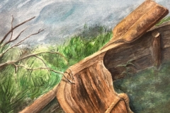 Callum-Z_15_Washed-Up_Edward-VI-Grammar-School