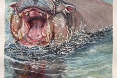 Christopher-S_12_Moo-Deng_Heathside-Weybridge