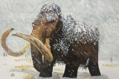 Frank-N_12_Wooly-Mammoth-in-a-blizzard_The-Hinckley-School_Merit