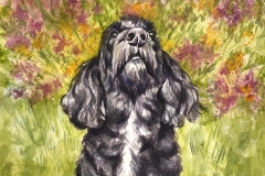 Maya-A_17_Bobby-in-The-Garden_Dame-Alice-Owens-School